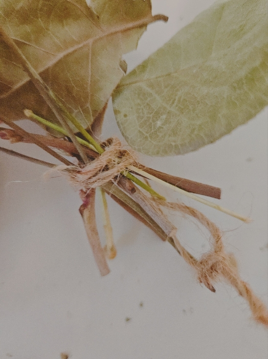 Rustic Pink and Green Faux Dried Bouquet by - Picture 7 of 11
